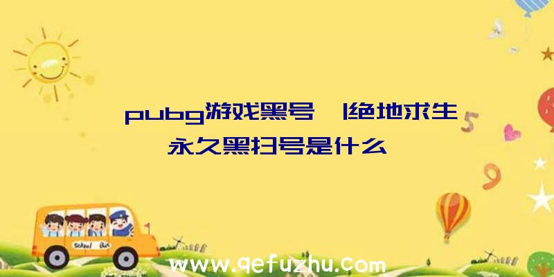 「pubg游戏黑号」|绝地求生永久黑扫号是什么